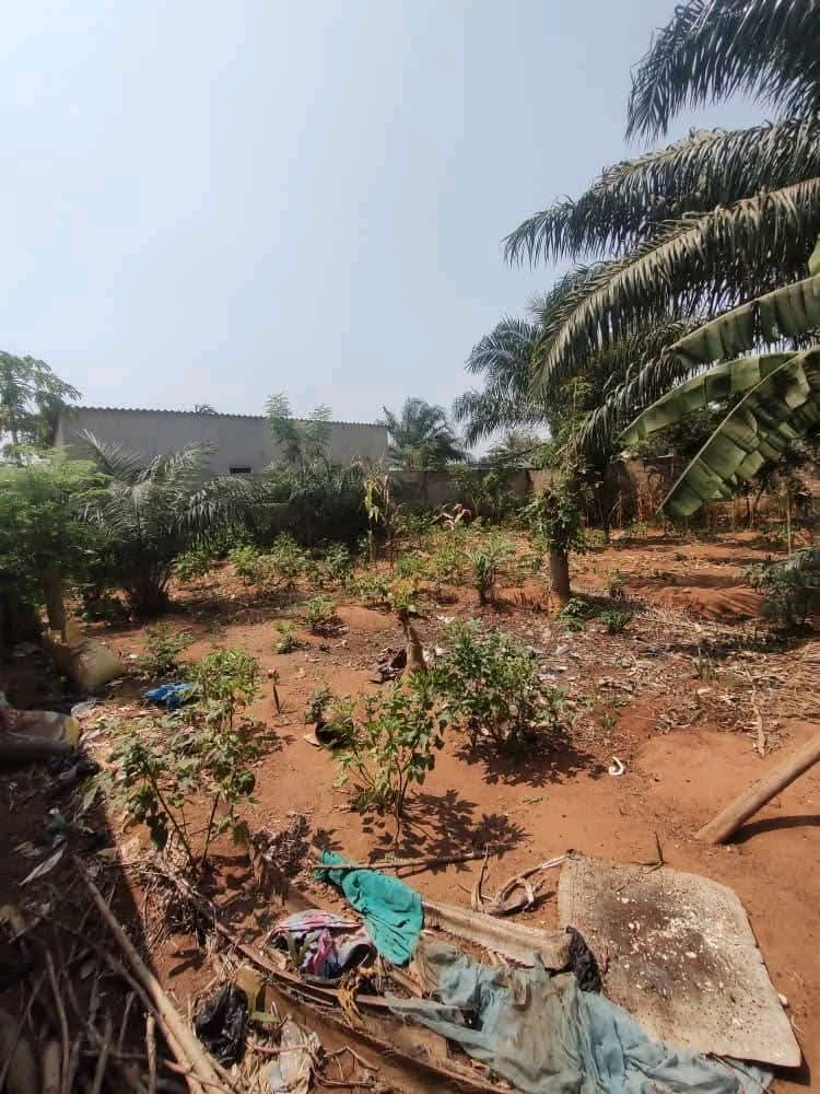 Terrain demi lot carré en vente a lome agoe bruyère