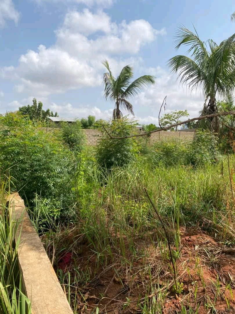 Terrain en vente a Lome adidogome logoté