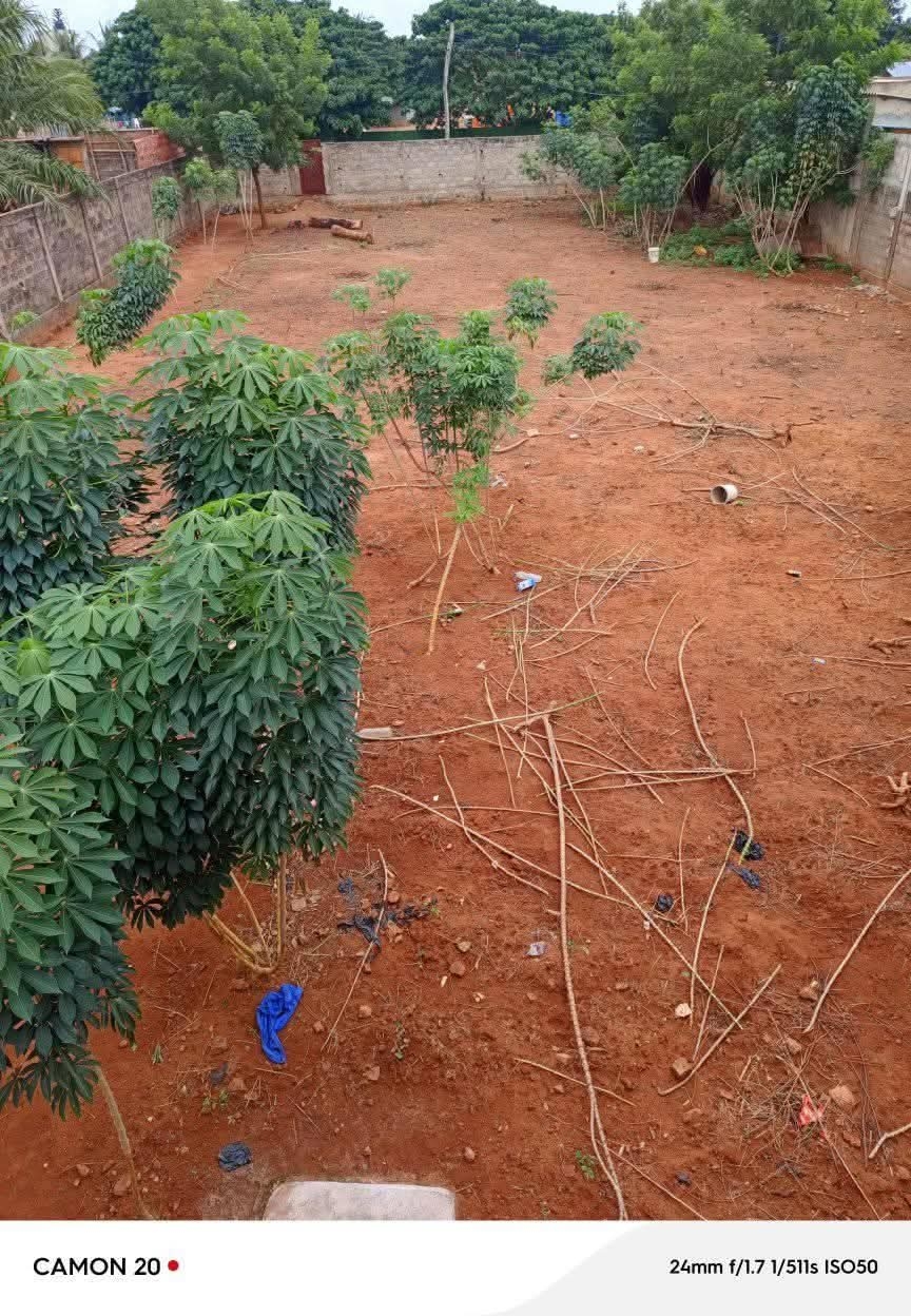 Terrain avec titre foncier en vente a Lomé agoe