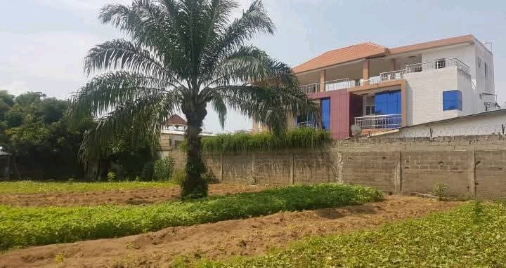 Terrain un lot en vente a Lomé baguida avepozo kpogan